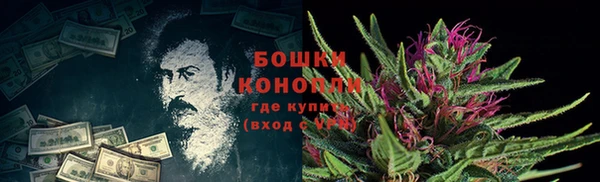 соль ск Гусев