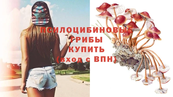 соль ск Гусев